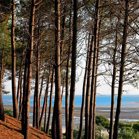 Arcachonnais Avec Terrasse Et Parking Securise - Fr-1-420-157 Apartmán Arcachon